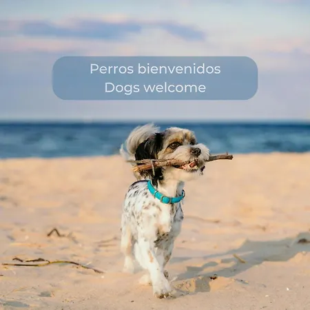 Apartment Fresh Lemonade Con Piscina, Ac, Doble Terraza, Cocina Completa Y Parking *